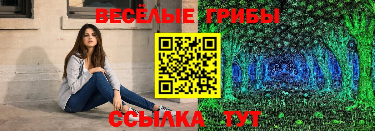 Псилоцибиновые грибы MAGIC MUSHROOMS Елец